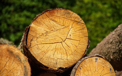 Is Heating Your Home with a Log Burner Sustainable?